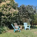 Villa Les Citronniers
