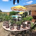 Villa Les Citronniers Colonzelle