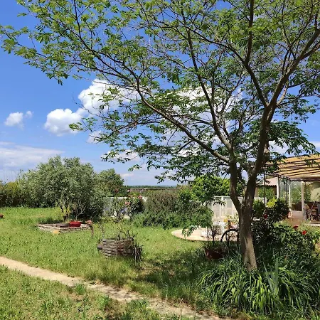 Villa Les Citronniers *